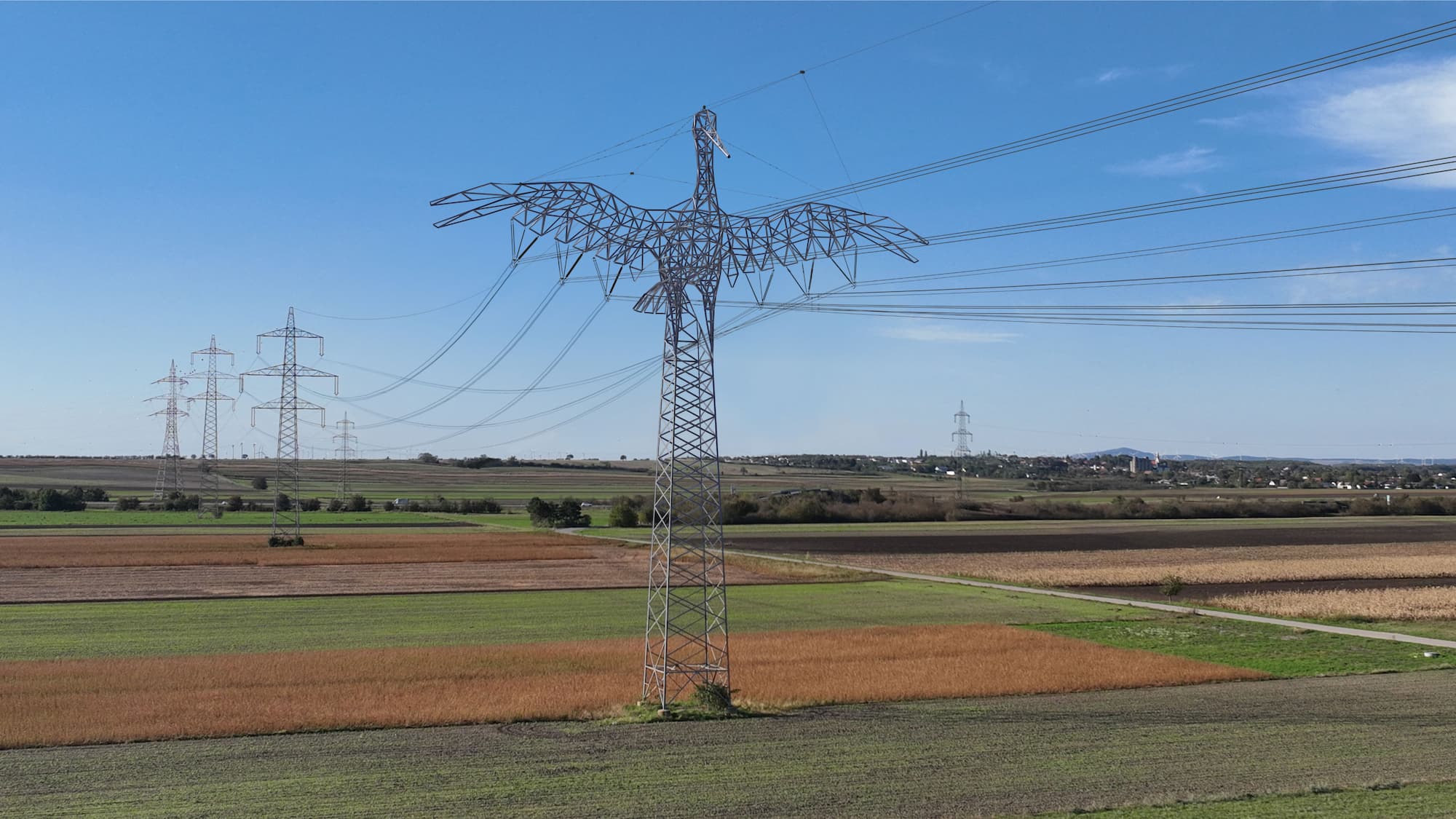 由奧地利電網公司、創意設計團隊、工程公司一同發起的《Austrian Power Grid》計畫，為布爾根蘭州以「鸛鳥」造型設計高壓電塔。（圖片授權／Photo Credit：Austrian Power Grid）